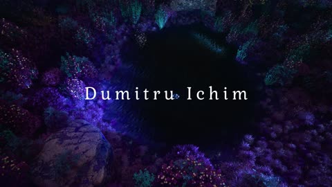 Dumitru Ichim - Balada Florii De Nuntă