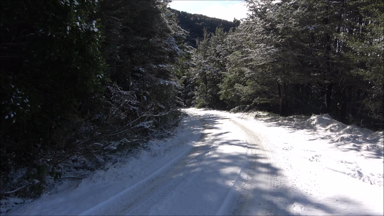 Forest Winter Road, ASMR.