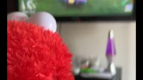 Elmo wants to play