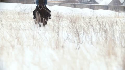 Young woman galloping on big red horse in snow field