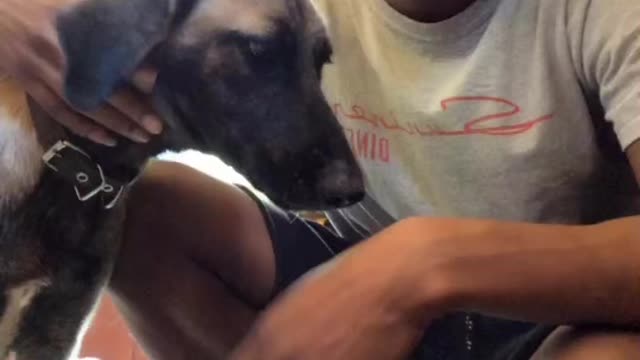 Just a little TikTok challenge with blue