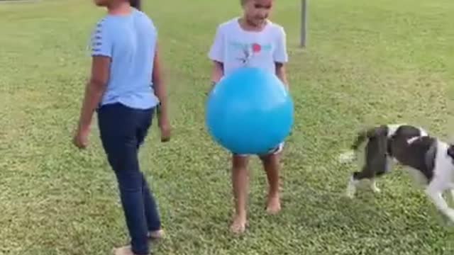 Mom jumps on the trash can because she's scared of the neighbor's dog!