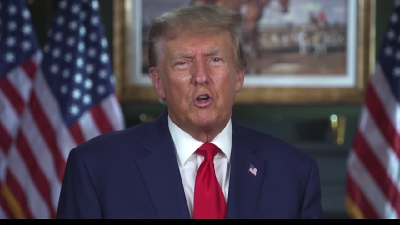 Trump Statement - They don’t Go After the People Who Chested on the Election