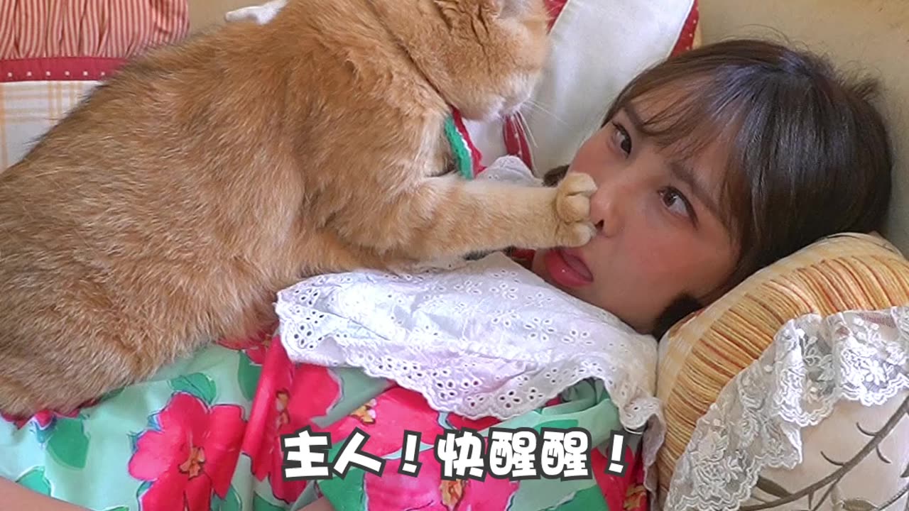 Hakimies eat too much every day