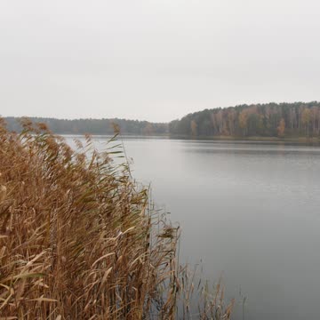 Peaceful Lake Landscape