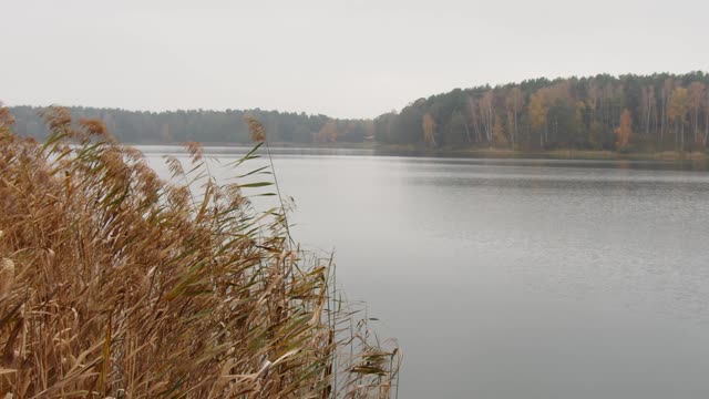 Peaceful Lake Landscape