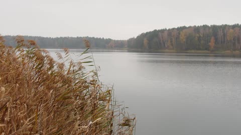 Peaceful Lake Landscape