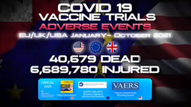 Dr Vladimir Zelenko: 100% correlation of injuries, this is murder!