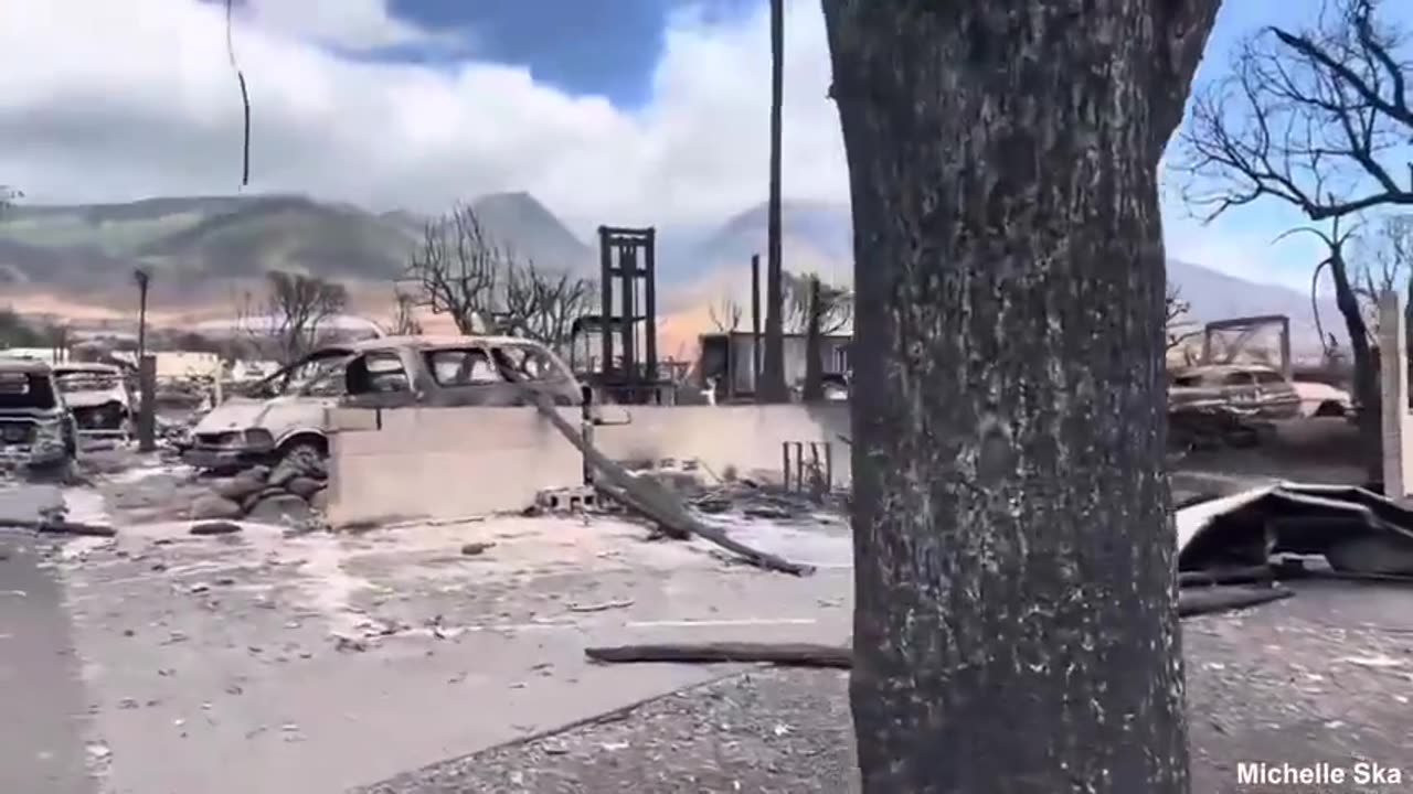 On Scene Footage Compilation - Lahaina Maui