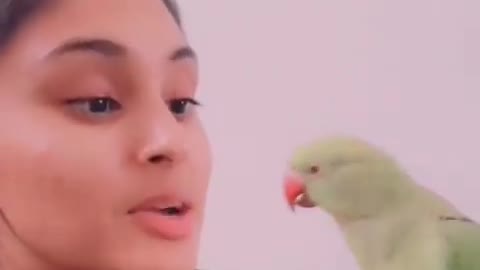 Funny ringnack parrot in my hand