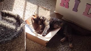 Boots in the sun