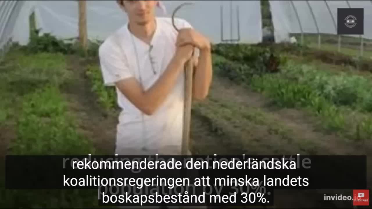 # 477 - WEF - djävulens högborg!