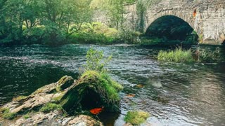 Water Under The Bridge ...