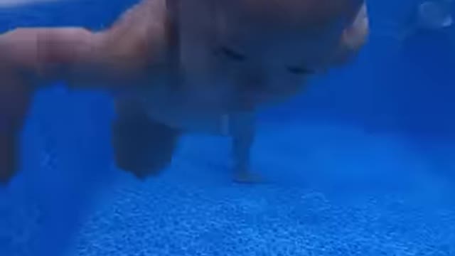 The future swimming champions 👶💙