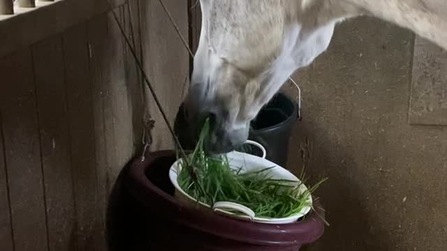 Day 2 Treats before my going home