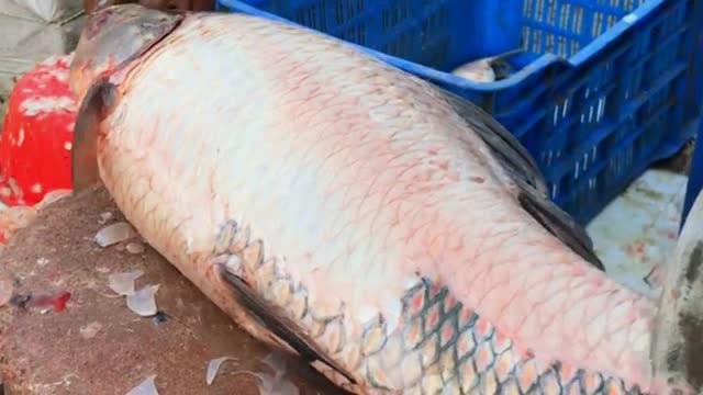 Fish Cutting By Expert Fish Cutter | Fish Market