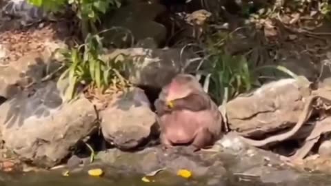 Funny video 😂🤣🤣