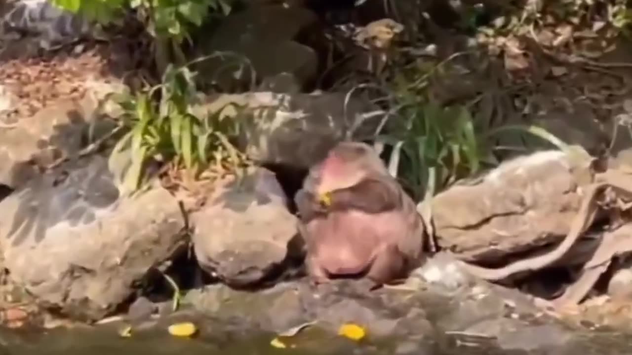 Funny video 😂🤣🤣