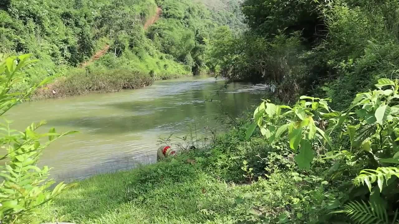 Primitive life: Build Trap Pit Place Lots of Fish - Catch Many Fish Smart Fishing Great