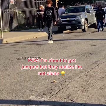 Thank god for my dogs