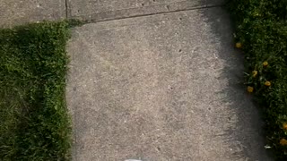 Hardcore parkour