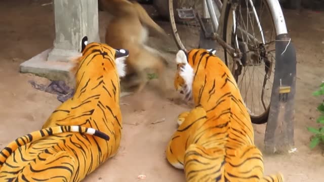 Must Watch New Funny Prank Video 2021 Fake Lion Prank Dog Is Too Funny To Stop Laughing