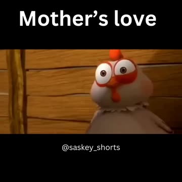 Motherly Devotion: When a Hen Guards Her Precious Egg 🐔💖