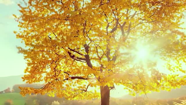 The wind has the smell of winter, and the year is coming to an end