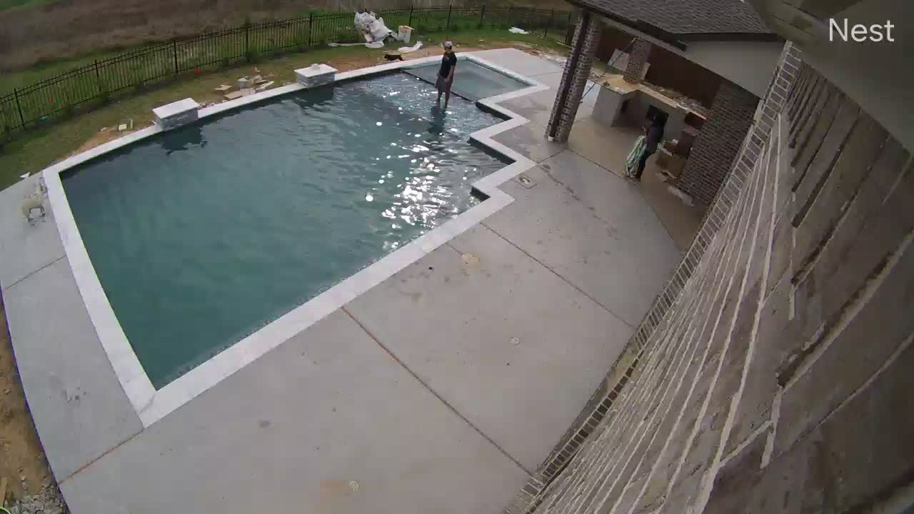 Saving French Bulldog From Drowning in Pool