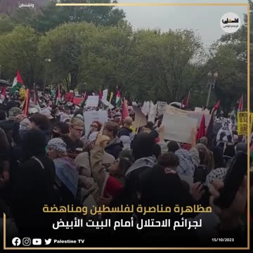 Pro Palestine rally in Washington DC