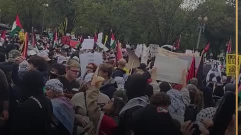 Pro Palestine rally in Washington DC