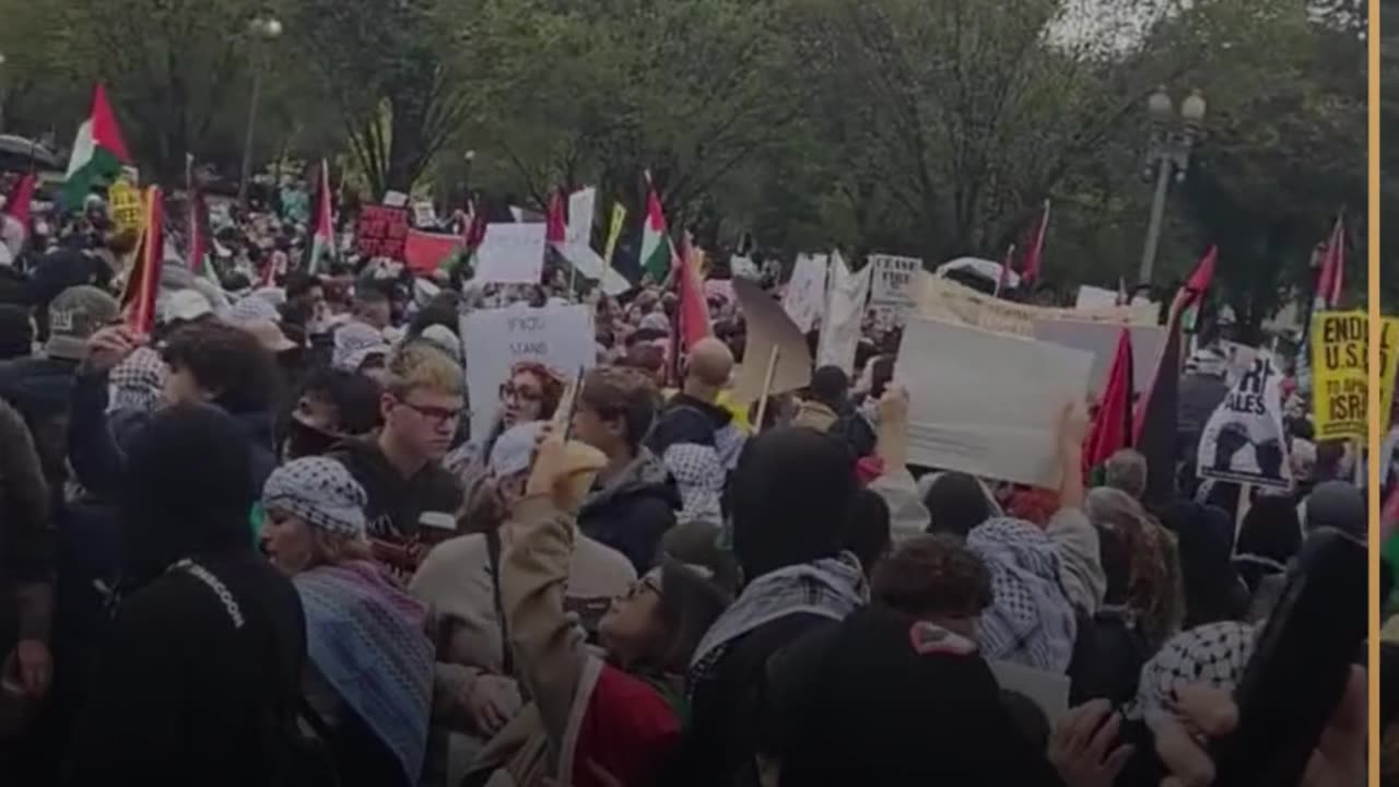 Pro Palestine rally in Washington DC