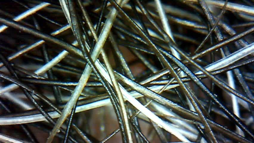 Beard - 600x Magnification.