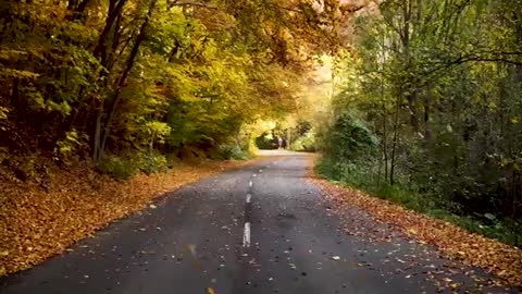 Most beautiful road in the world