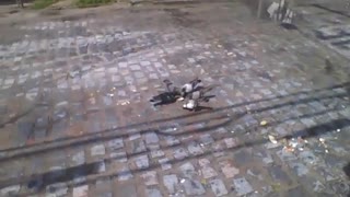 Pigeons eating food scraps from the garbage in the street near the garages [Nature & Animals]