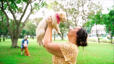Dogs baby' cute dogs'dogs baby' papy dogs