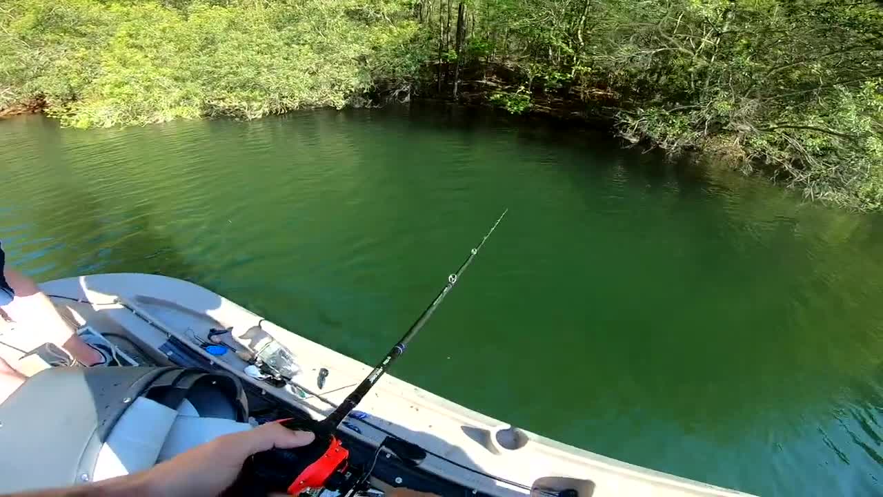 World's LARGEST Rat Lure Catches GIANT Bass (Lake Fishing)