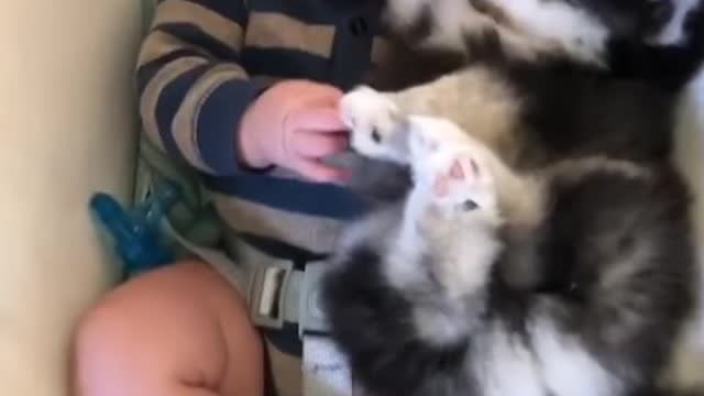 So Cute Puppy Sleeps With baby in cradle- Baby dog and babie