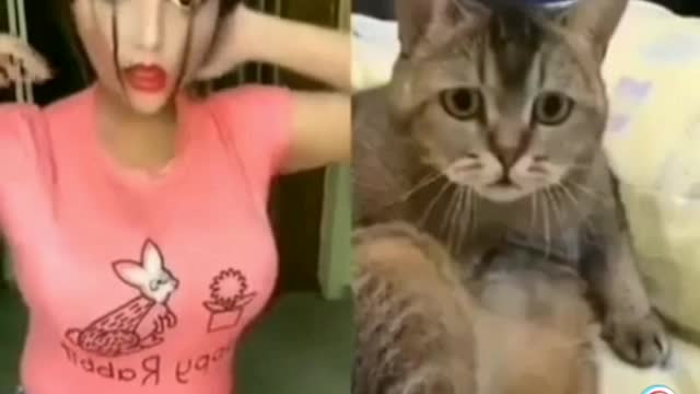 Cat watching biggest boobs