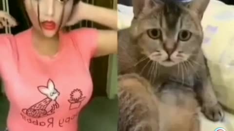 Cat watching biggest boobs