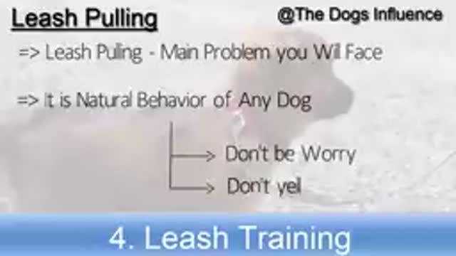 Dog best training