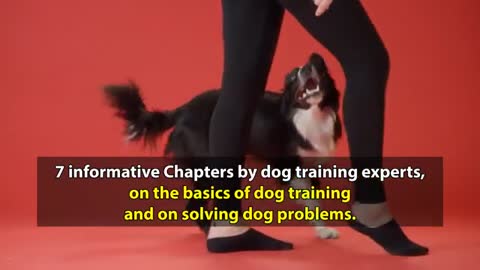 Dog training tips