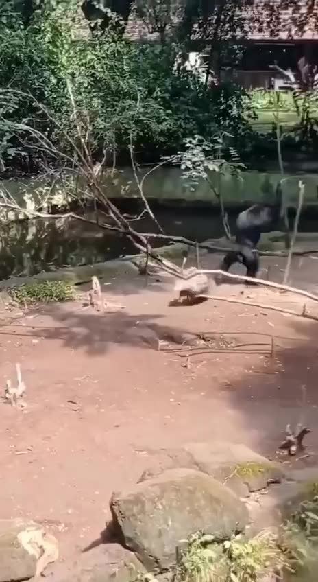 Proportionality 😂😂