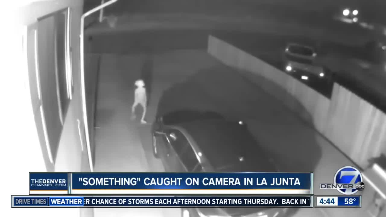 "Alien" caught on camera in La Junta