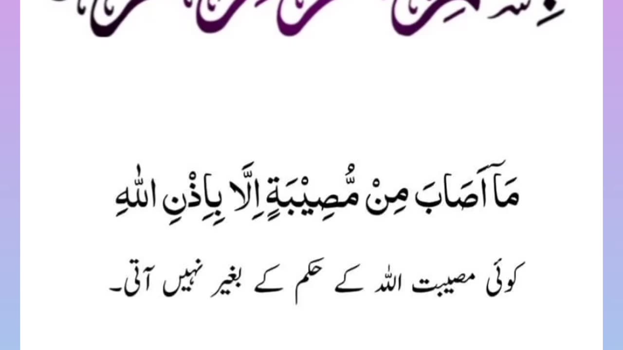 Quran , Al Quran Surah 64 Ayat 11 #viral #shorts #quran #youtubeshorts