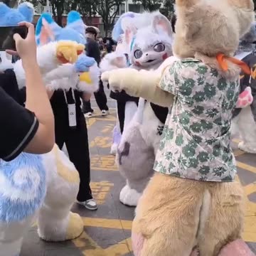 Furry Douyin #37