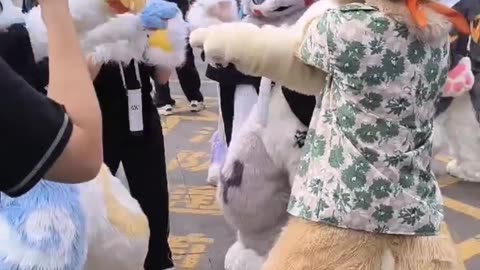 Furry Douyin #37