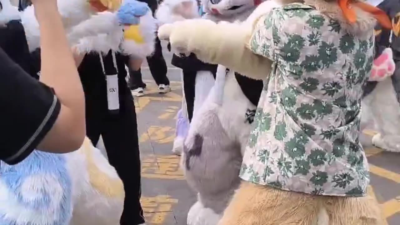 Furry Douyin #37