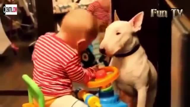 Cute babies with their pets - 004