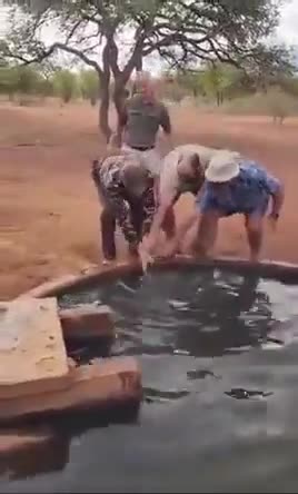 Five Men and a snake sounds like a movie